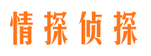 资源市私人侦探